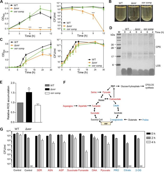 FIG 6