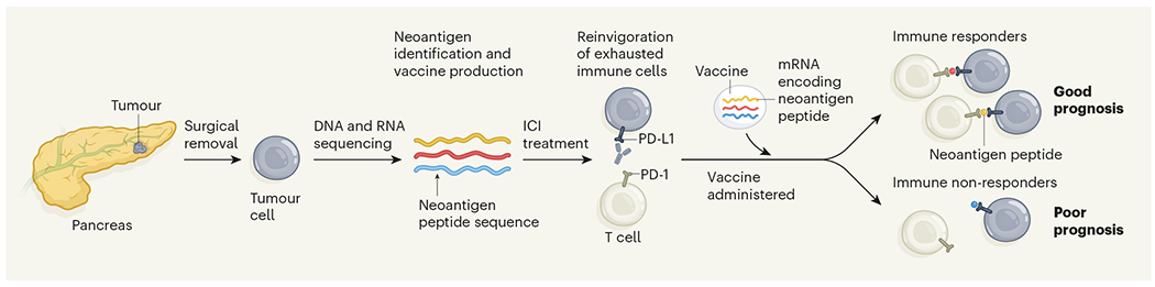 Figure 1 |
