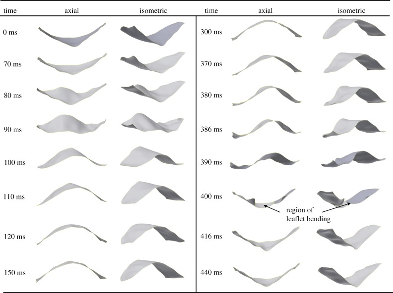 Figure 7.