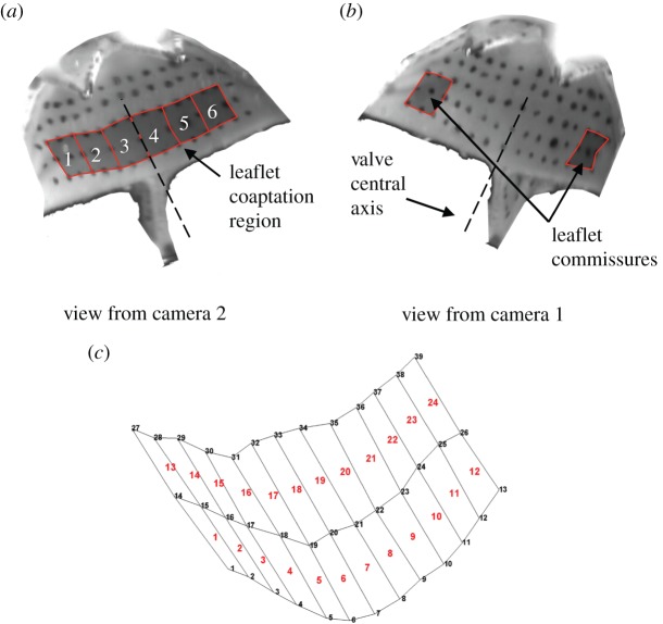 Figure 4.