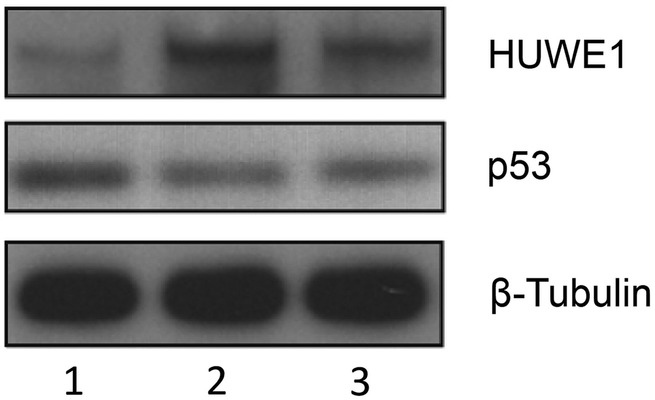 Figure 4