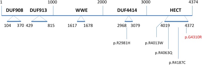 Figure 5