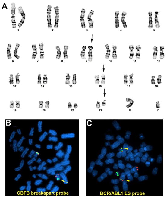 FIGURE 3