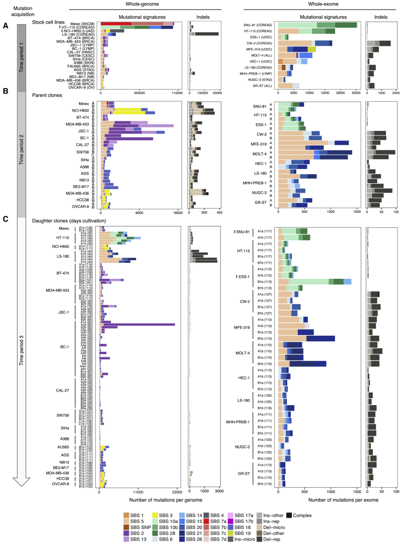 Figure 3