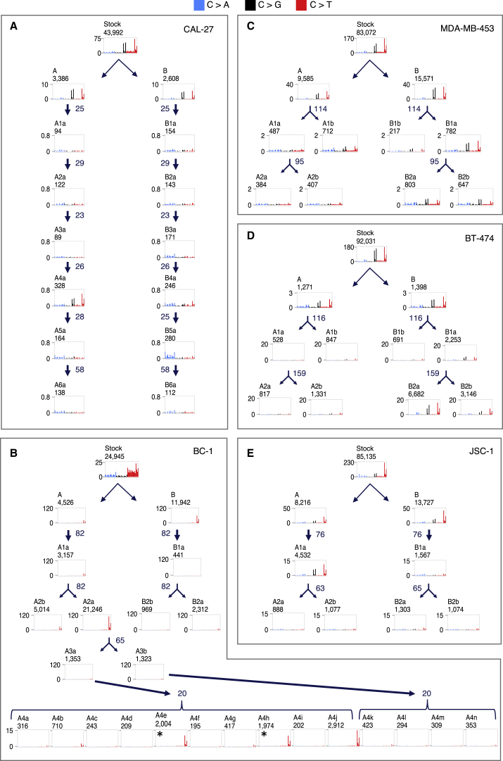 Figure 4