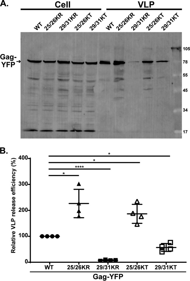 FIG 4