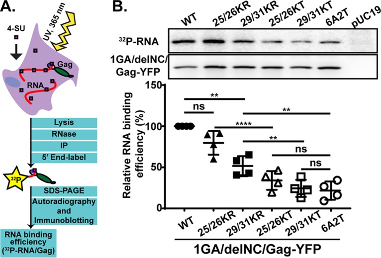 FIG 2