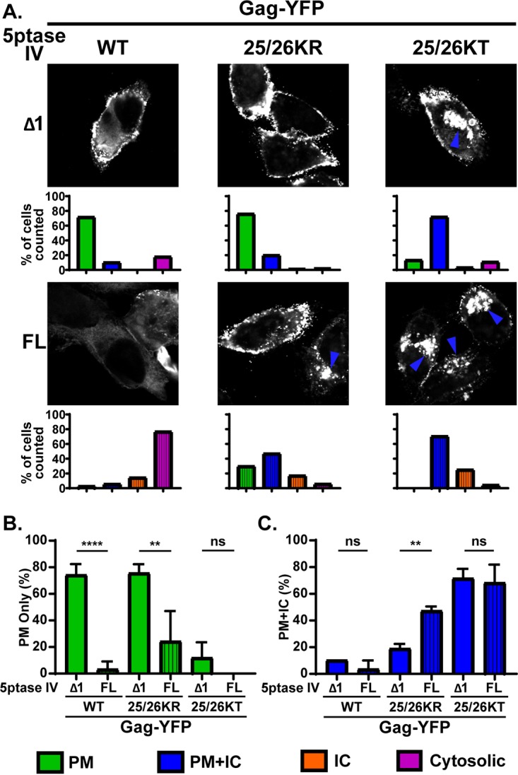 FIG 6