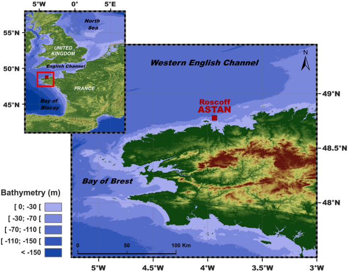 FIGURE 1