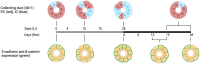 Figure 10.
