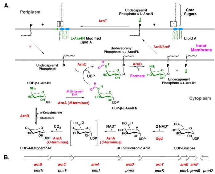 FIGURE 2