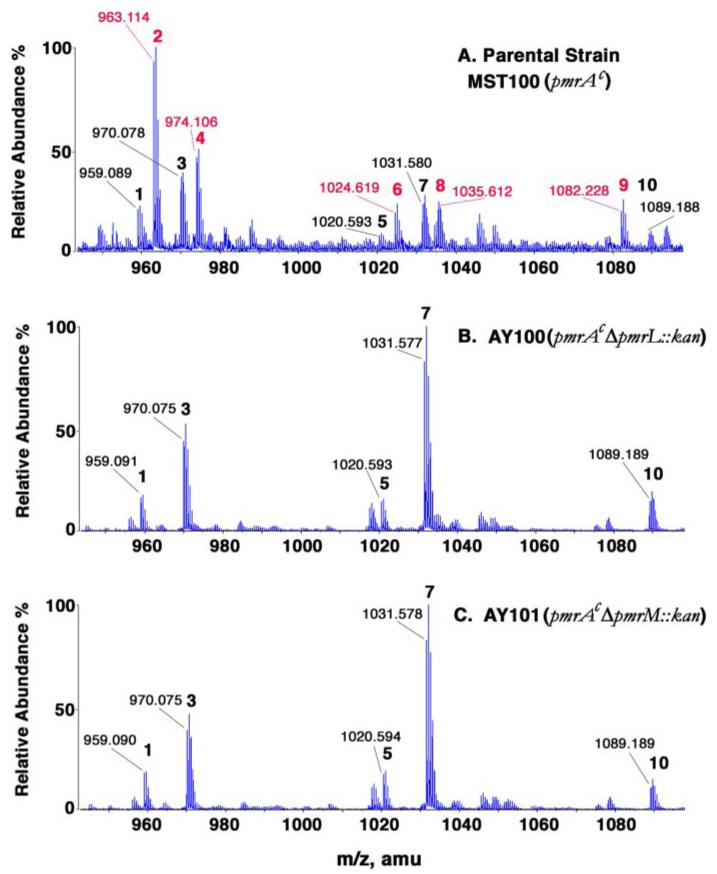 FIGURE 4