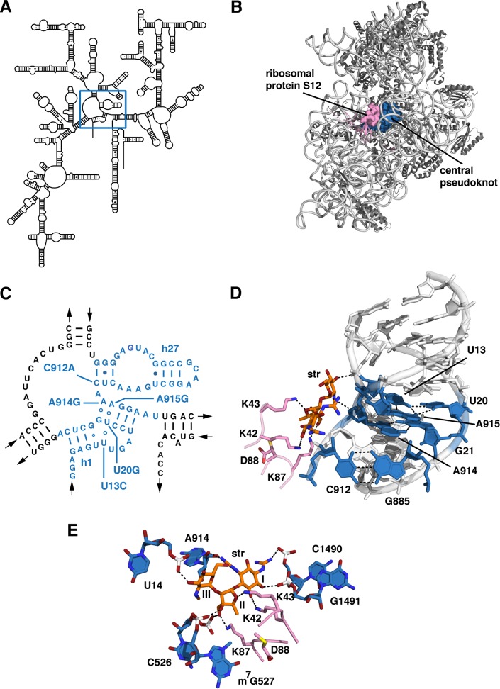 FIG 1