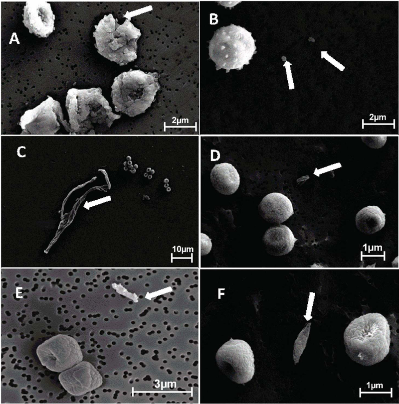 Fig 6.