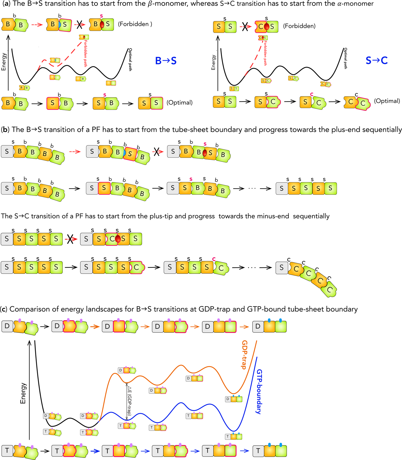 Figure 5: