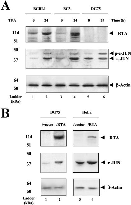 FIG. 9.