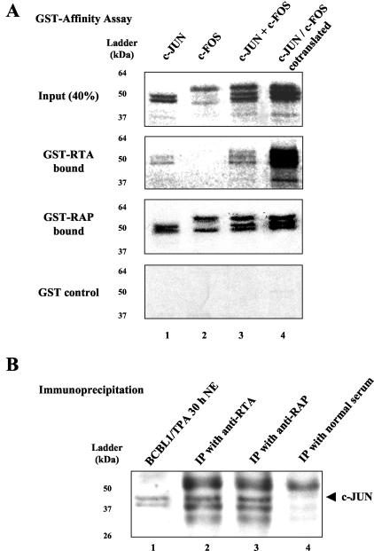 FIG. 7.