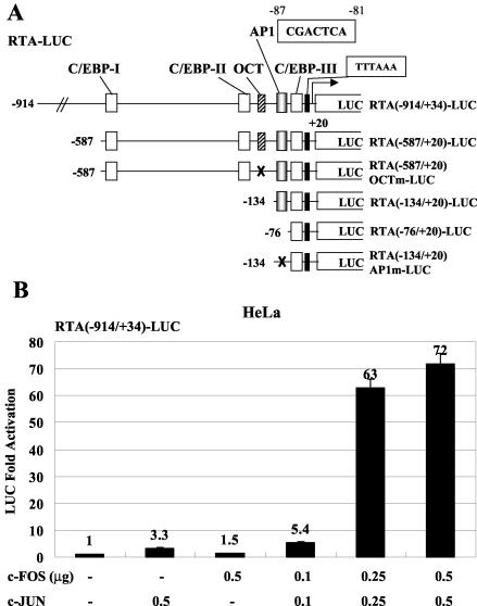 FIG. 4.