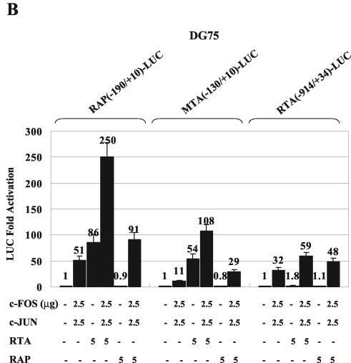 FIG. 6.