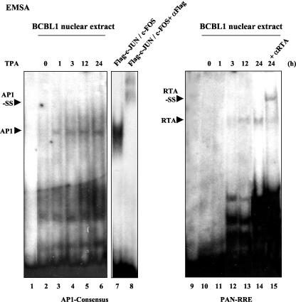 FIG. 8.