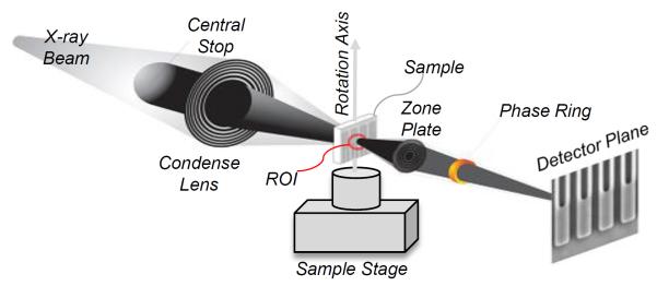 Figure 7