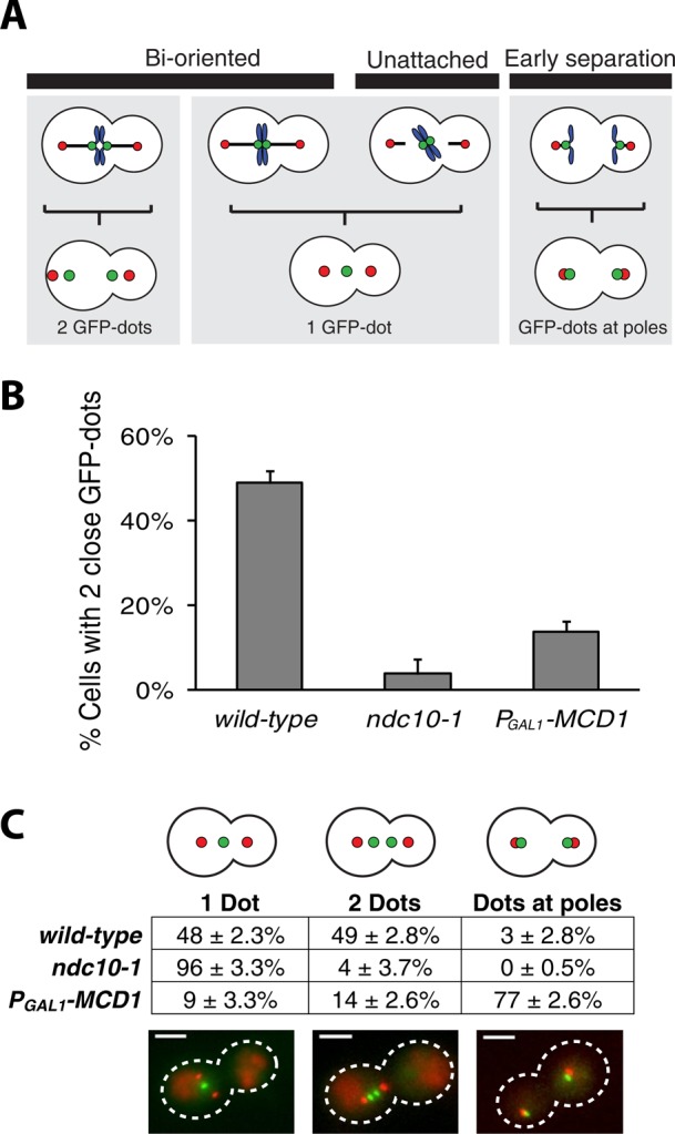 FIGURE 3: