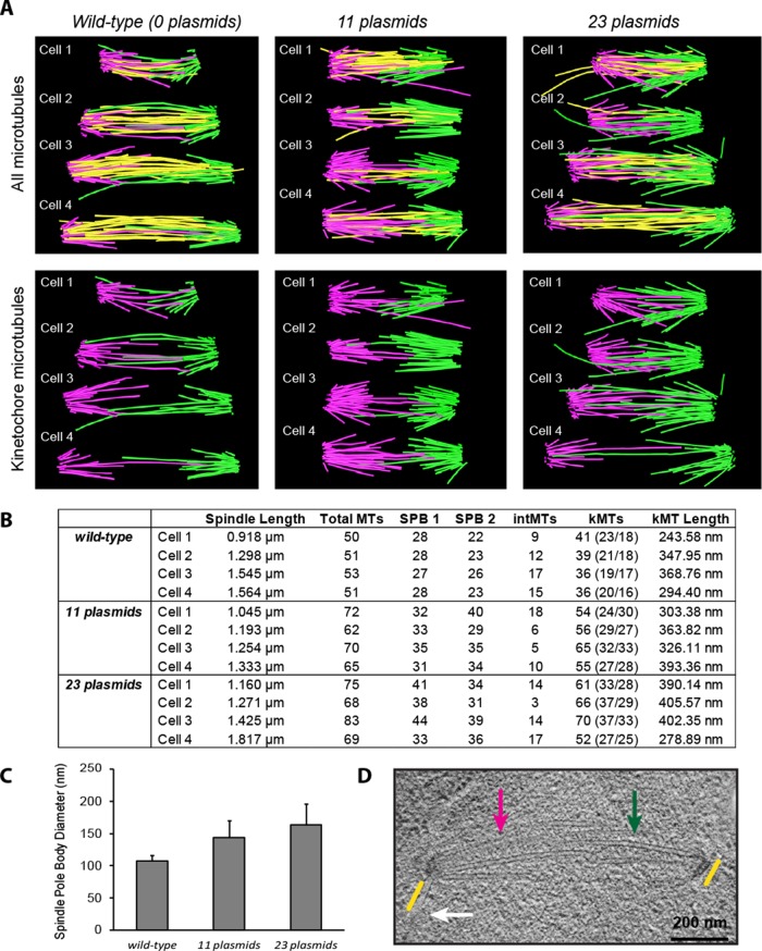 FIGURE 6: