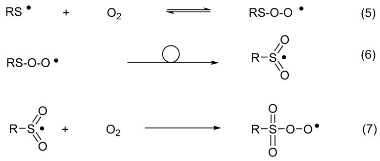 graphic file with name molecules-24-04357-i004.jpg