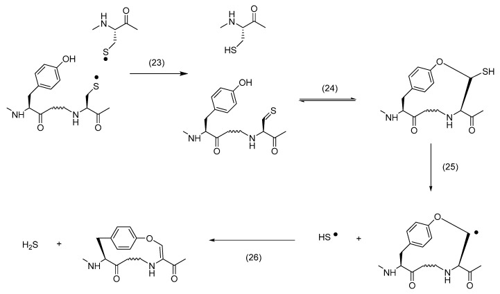 Scheme 5