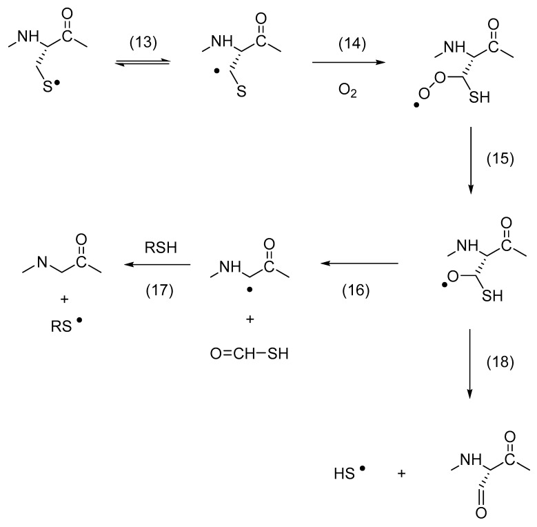 Scheme 3