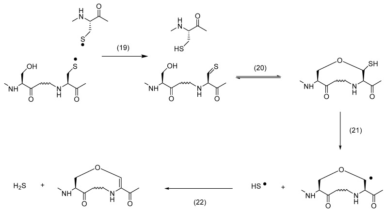 Scheme 4