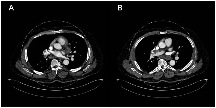 Fig. 9.