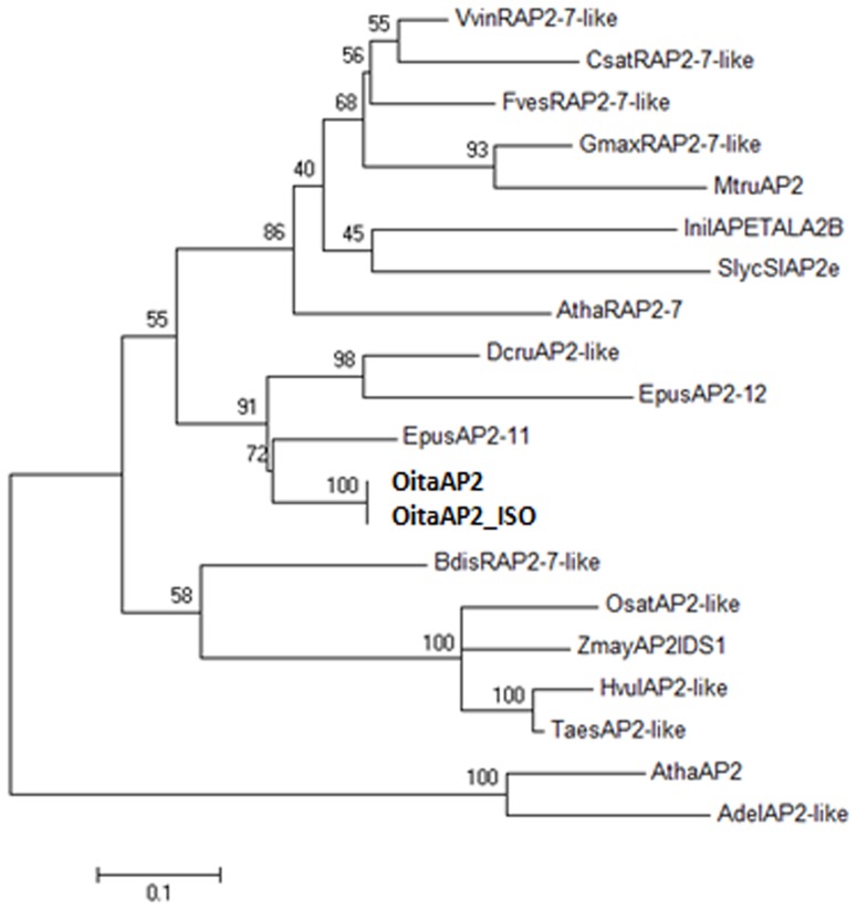 Figure 2