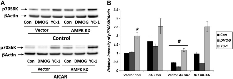 Fig. 10.