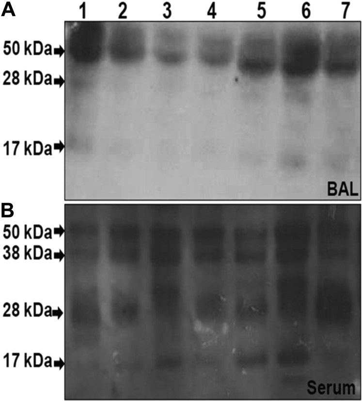 Figure 5