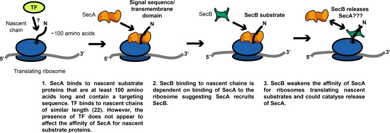 FIG 6