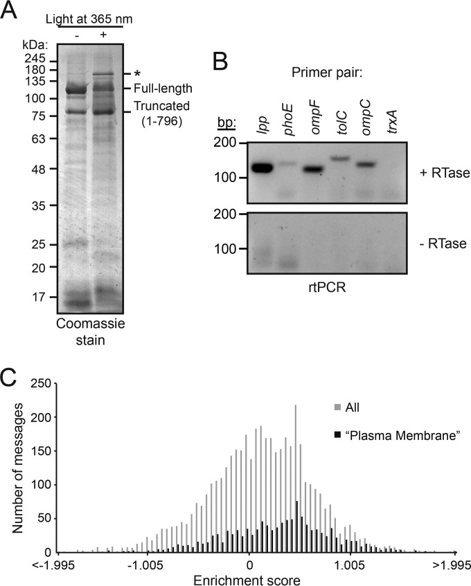 FIG 1