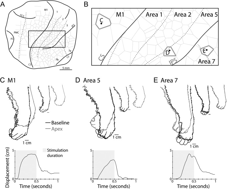 Figure 8.