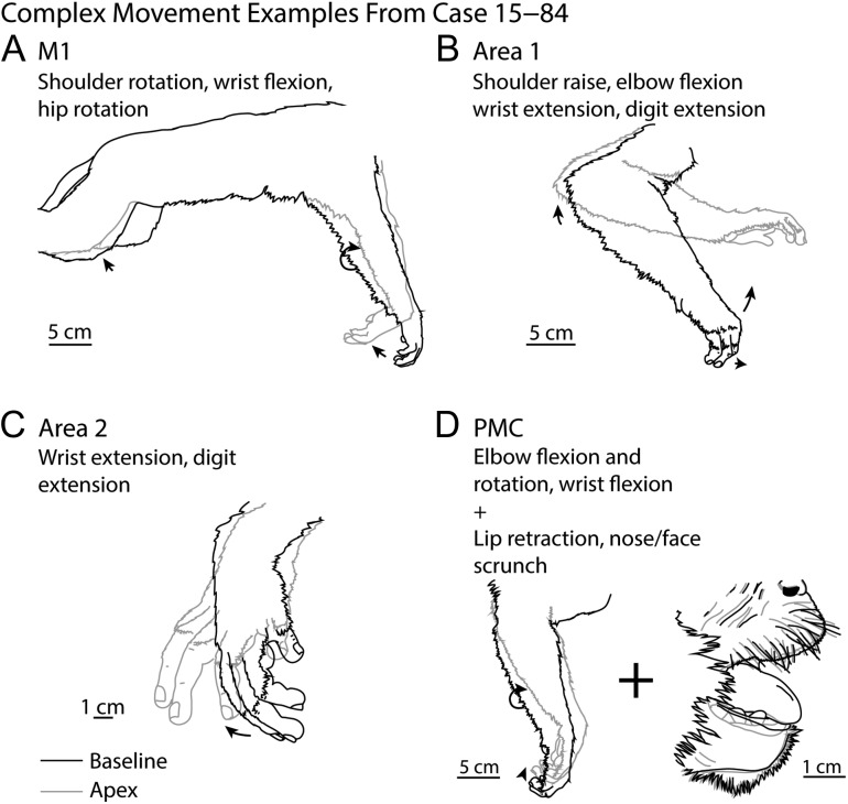 Figure 5.