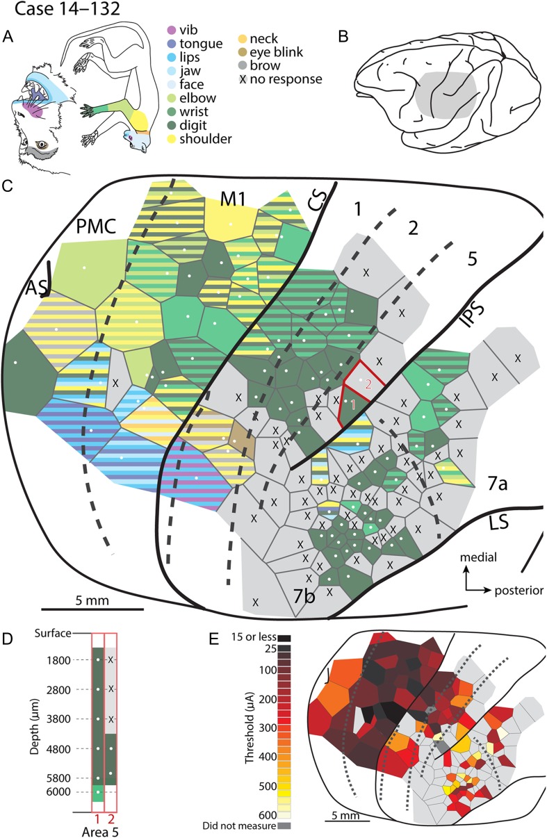 Figure 6.