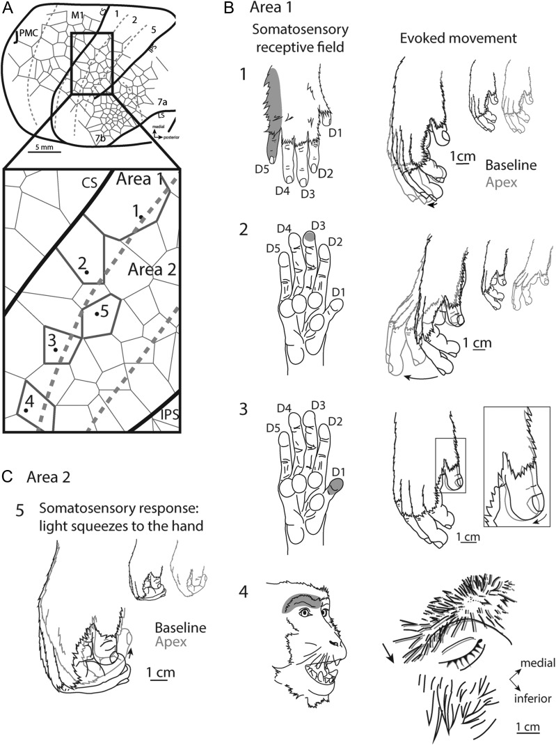 Figure 11.