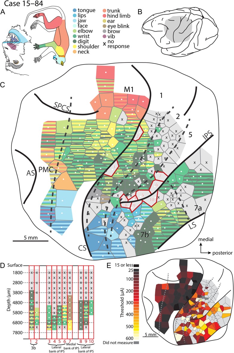 Figure 4.