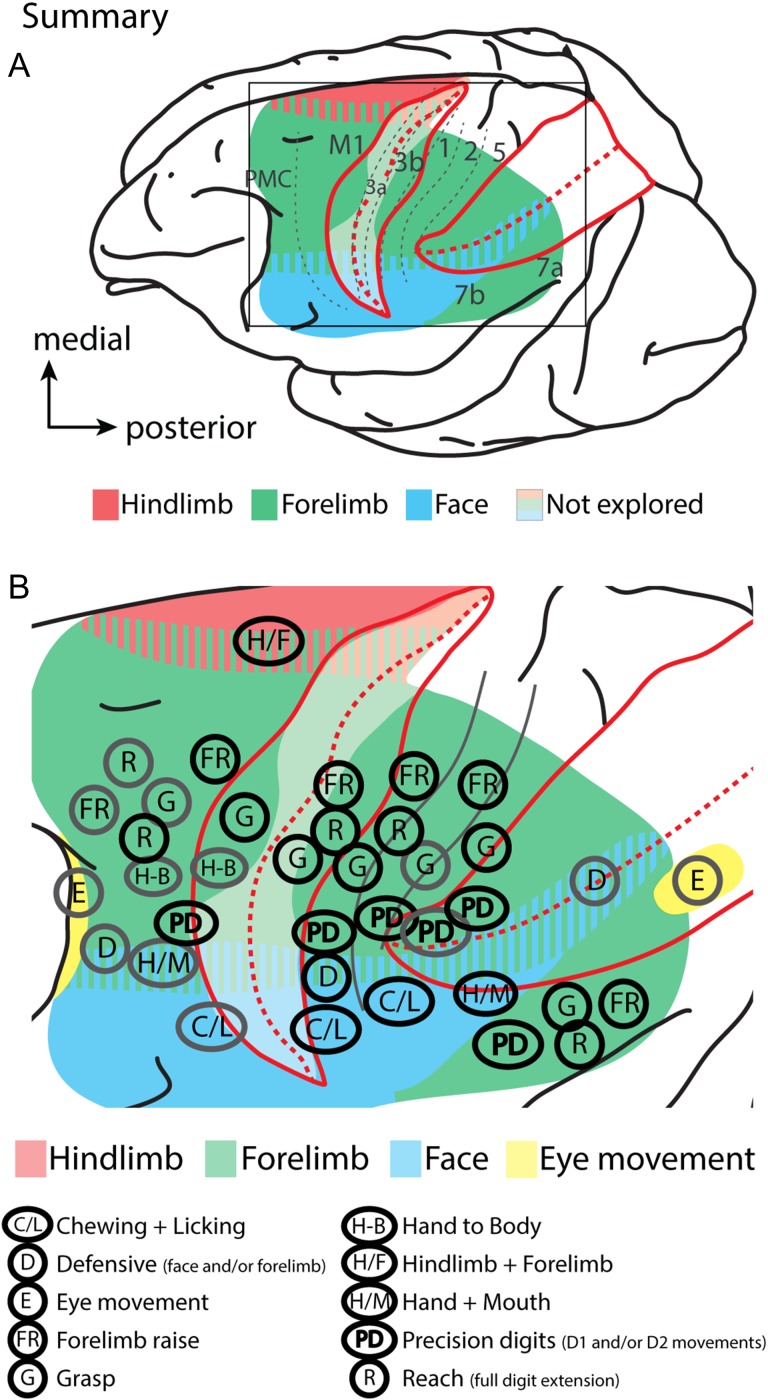 Figure 12.