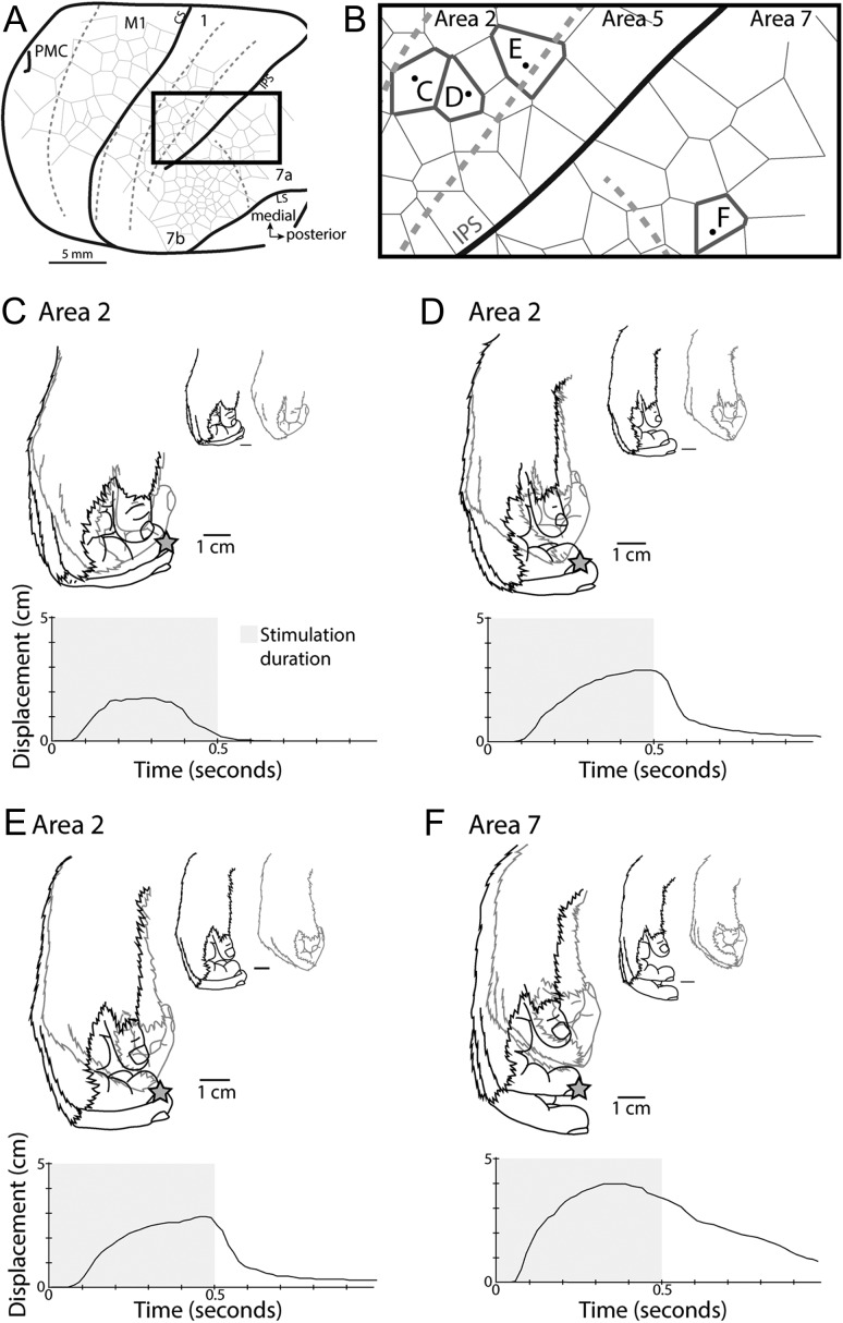 Figure 9.