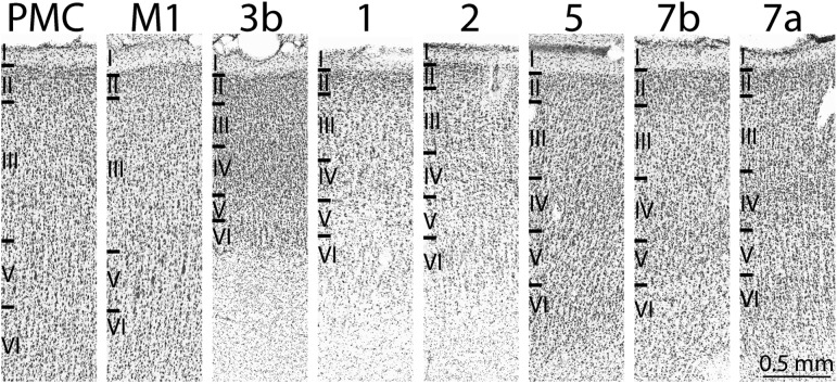 Figure 10.