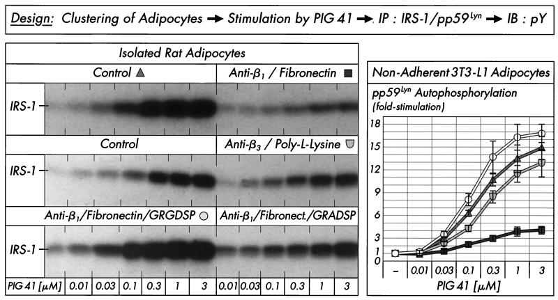 FIG. 10