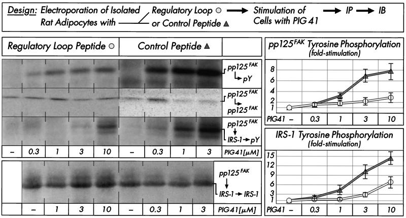 FIG. 8