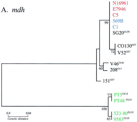 FIG. 7