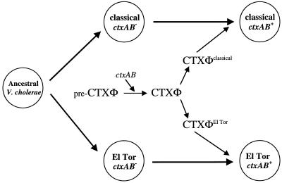 FIG. 8