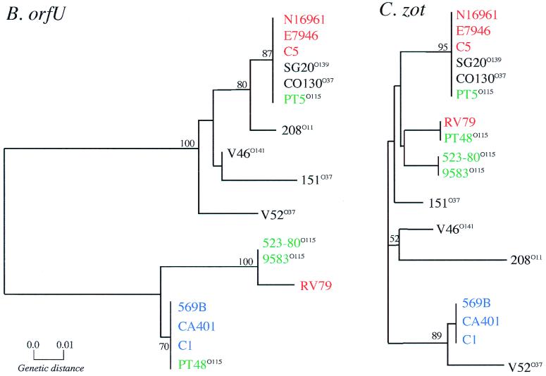 FIG. 7